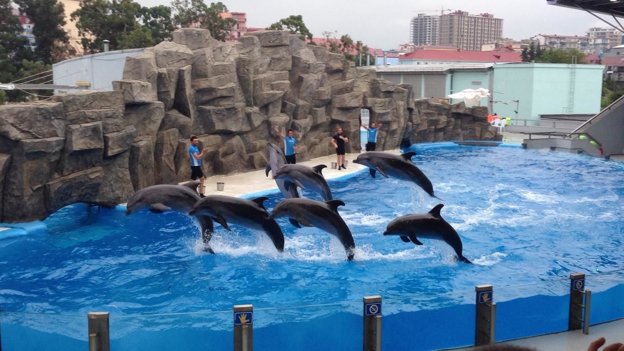 Гостевой дом Guesthouse Abashidze 4 Батуми-26